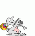 lapin_panier